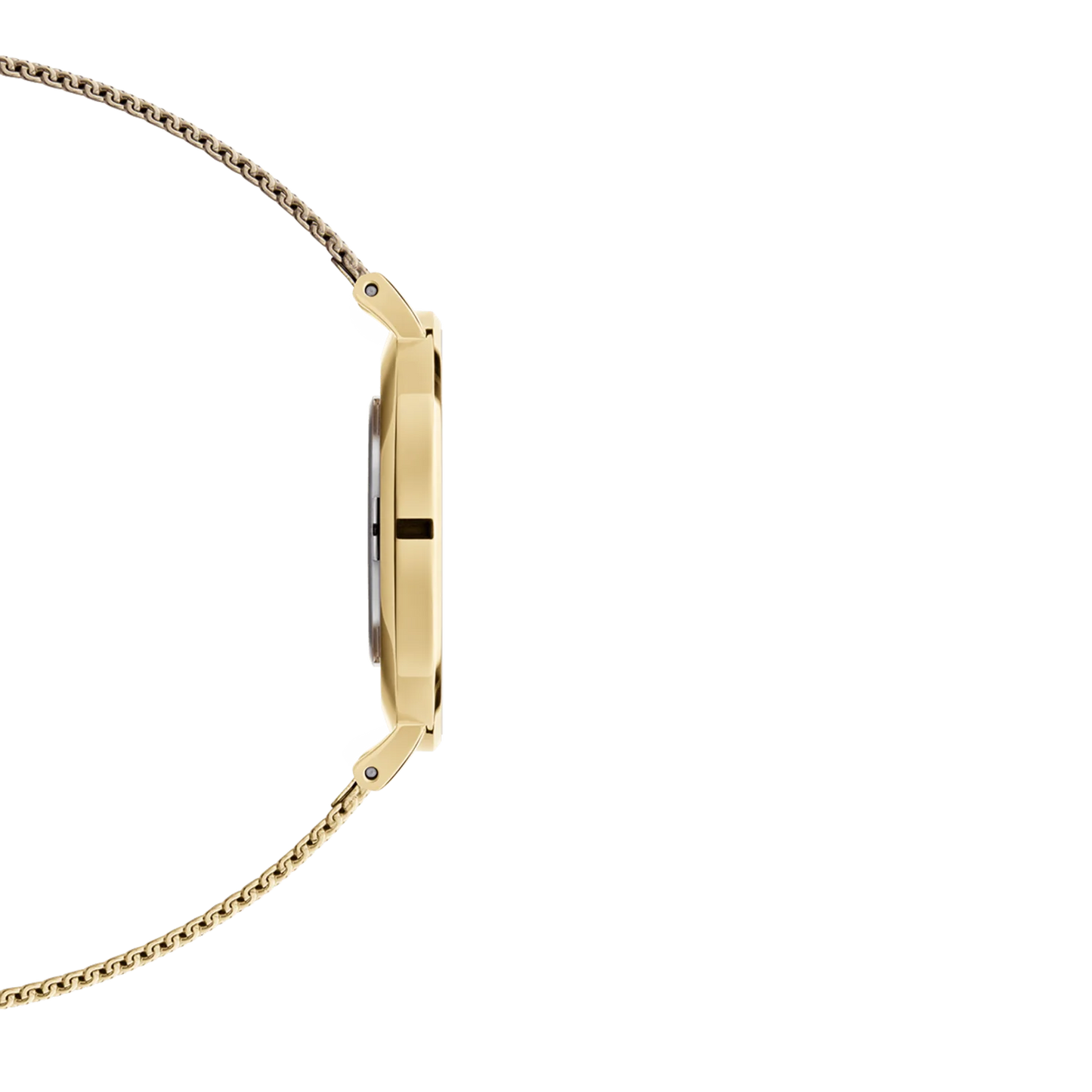 DANIEL WELLINGTON MONTRE M102