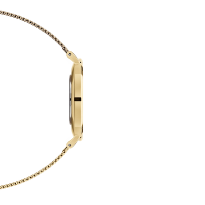 DANIEL WELLINGTON MONTRE M102